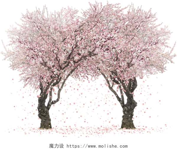 唯美樱花树素材